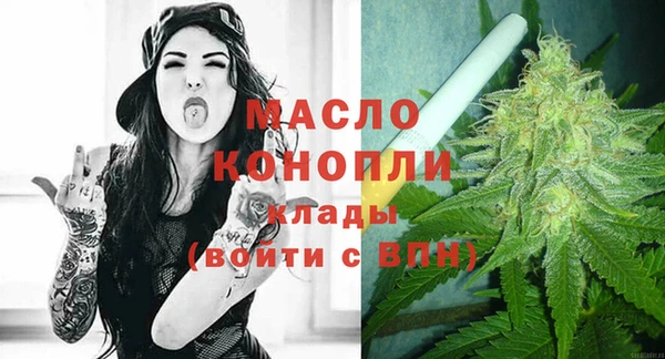 индика Гатчина