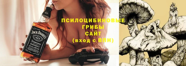 экстази Арсеньев
