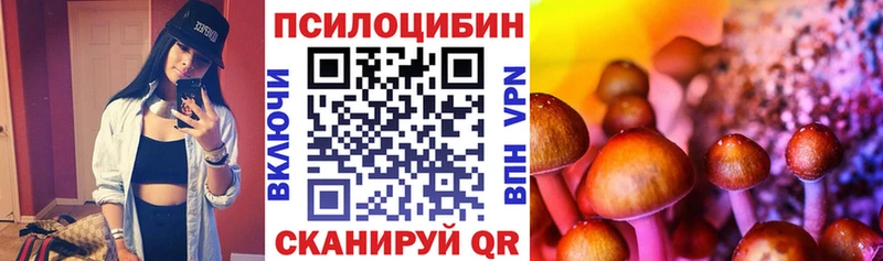 Галлюциногенные грибы мицелий  Белинский 